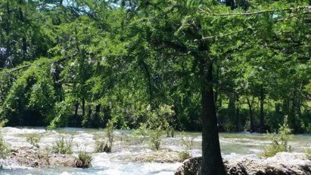 clearwater_1484847586833